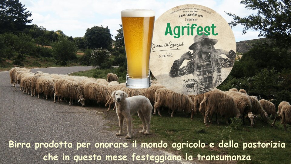 Birra Agrifest Concarena Taccolini