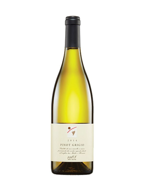 Pinot Grigio DOC Collio Pinot Grigio DOC Collio Taccolini