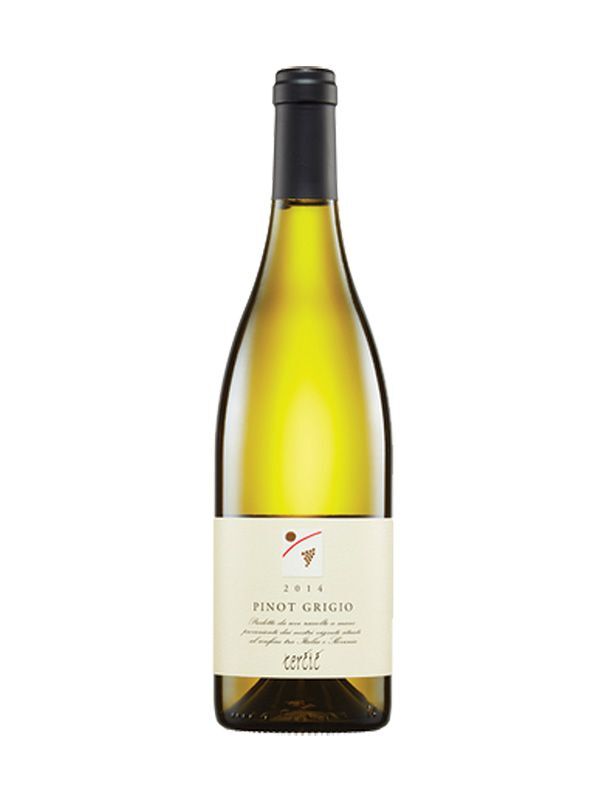 Pinot Grigio DOC Collio Taccolini