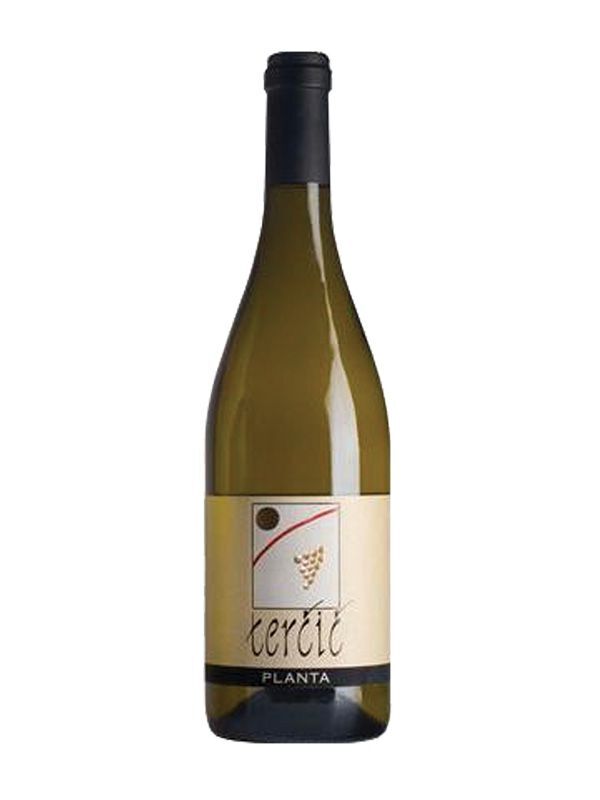 Planta DOC Collio Planta DOC Collio Taccolini