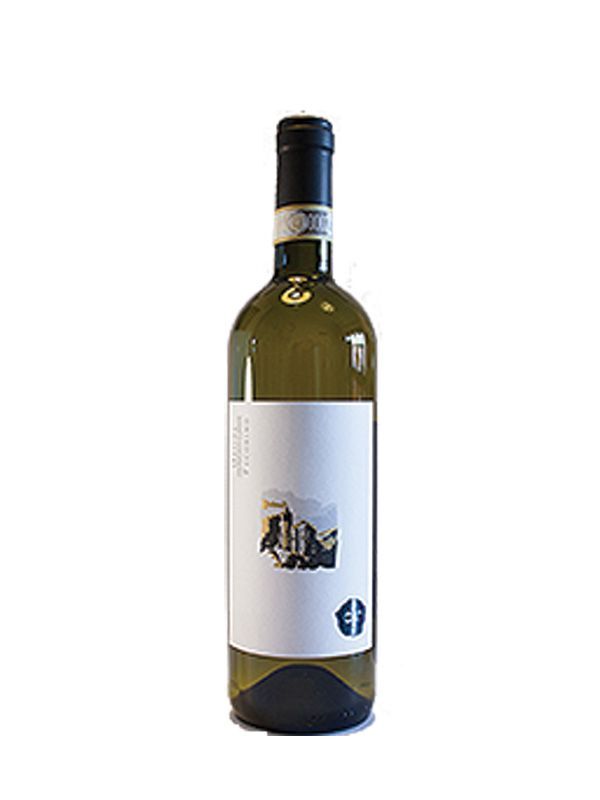 Offida Pecorino DOCG Offida Pecorino DOCG Taccolini