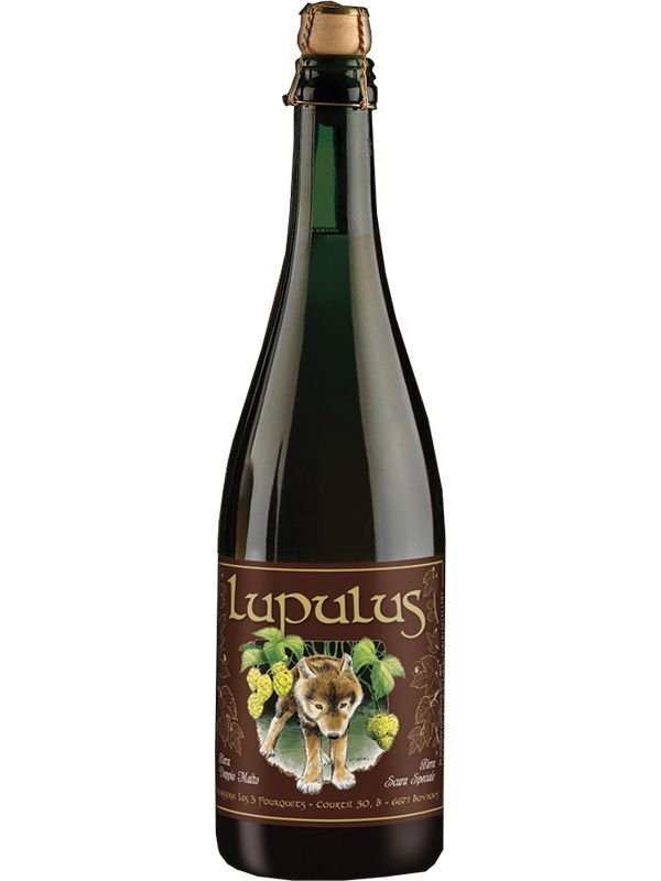 Lupulus Brune Lupulus Brune Taccolini