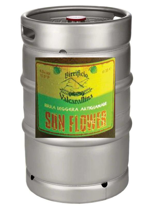 Valcavallina Sunflower Valcavallina Sunflower Fusto Taccolini
